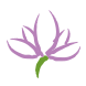 Flower Icon